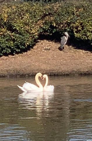 1479 Coventry Rd., Surfside Beach, SC 29575