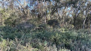 0 BOUNTY/BARRETT, New Port Richey, FL 34654