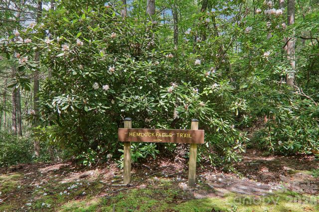 1063 Swiss Pine Lake Drive, Spruce Pine, NC 28777