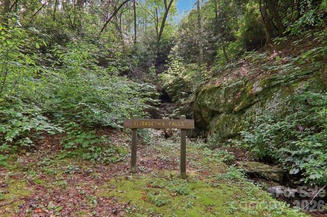 1063 Swiss Pine Lake Drive, Spruce Pine, NC 28777
