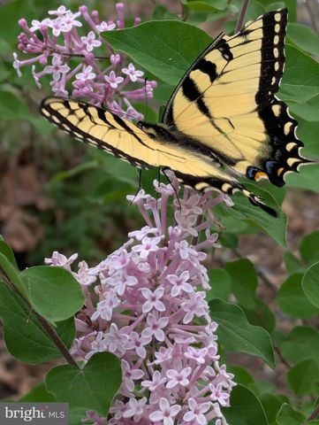 2805-A STAVORS RD, Waldorf, MD 20603