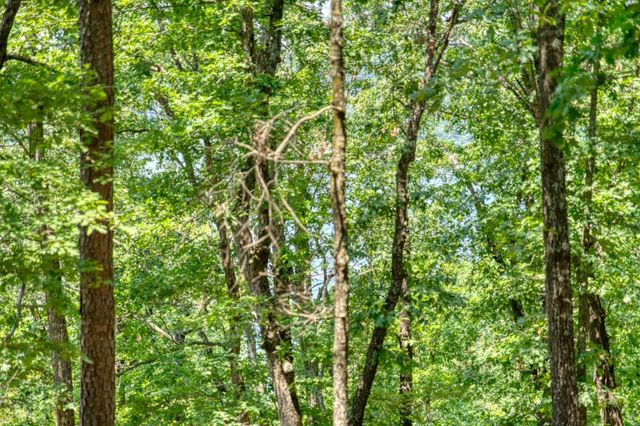 County Road 1531, Eureka Springs, AR 72632