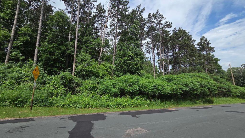 TBD Uplander Street NW, Andover, MN 55304 — photo 2