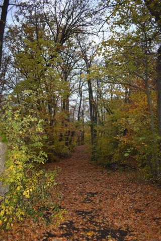 3354 Shorewood Drive SW, Kensington, MN 56343