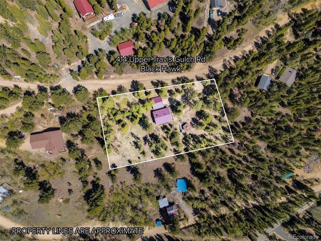 414 Upper Travis Gulch Rd, Black Hawk, CO 80422