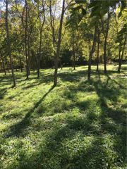 821 Puppy Creek Road, Springdale, AR 72745