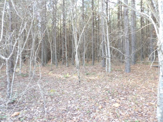 Lot 22 Summercity Road, Evensville, TN 37332