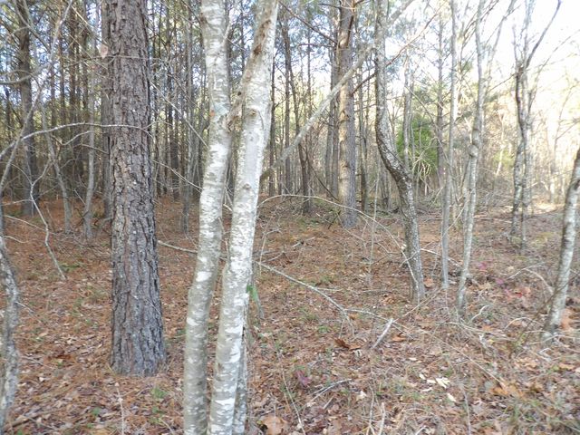 Lot 22 Summercity Road, Evensville, TN 37332
