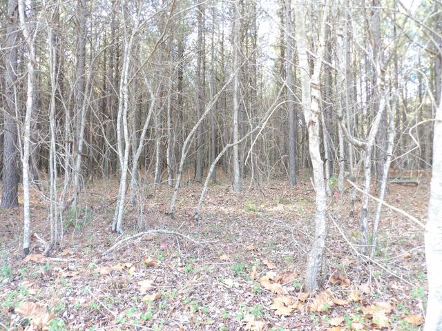 Lot 22 Summercity Road, Evensville, TN 37332