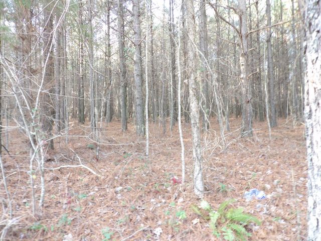 Lot 22 Summercity Road, Evensville, TN 37332