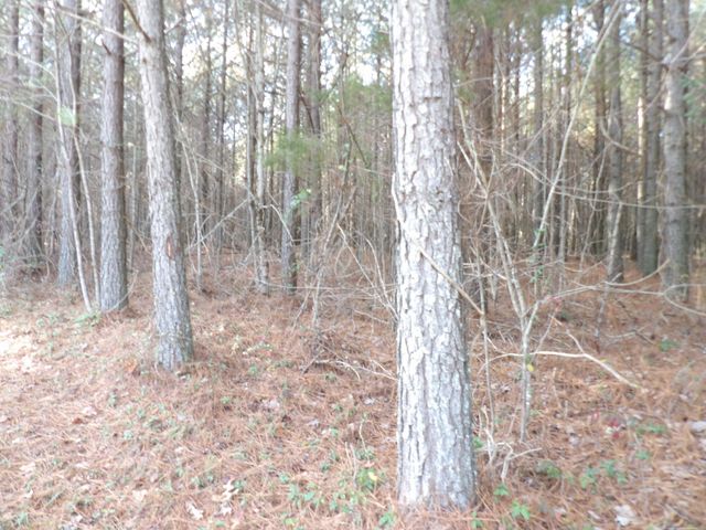 Lot 22 Summercity Road, Evensville, TN 37332