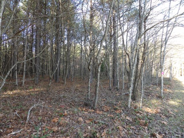 Lot 22 Summercity Road, Evensville, TN 37332