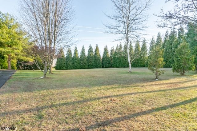 20 Riddle Court, Franklin Twp., NJ 08802