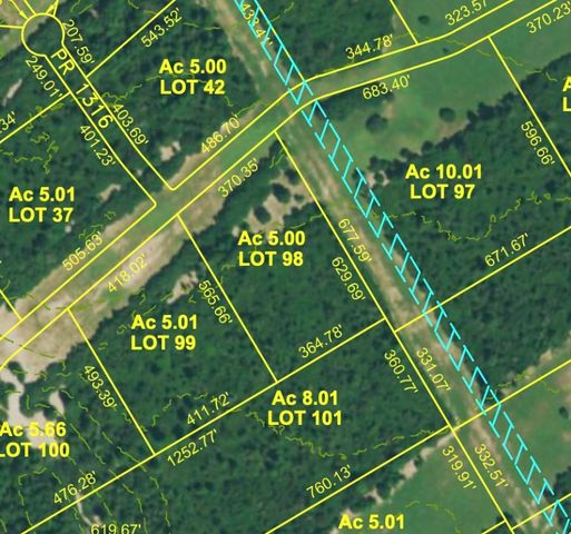 Lot 98 PR 1315, Centerville, TX 75833