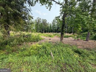 91 Holly Grove Road, Griffin, GA 30224