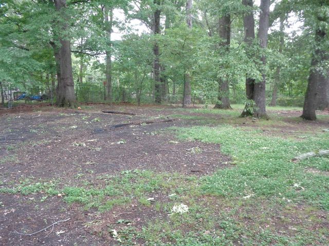 4110 Malloy Street, Little Rock, AR 72204