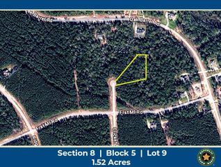 15660 Cricket Creek Court, Willis, TX 77378