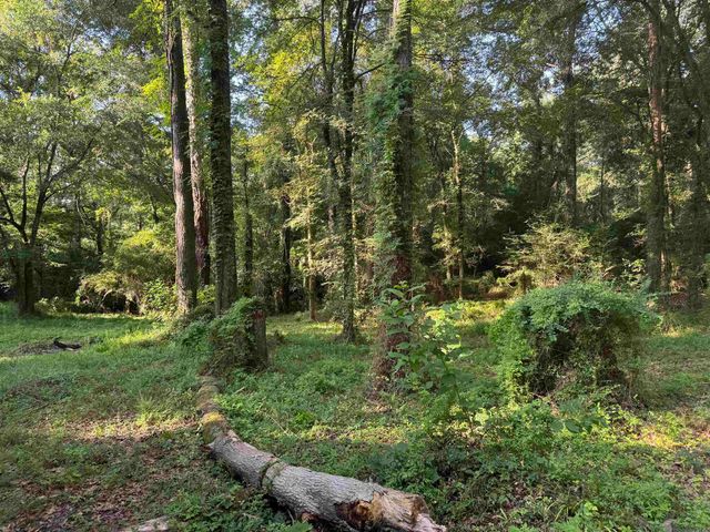 17286 La Hwy 933, Prairieville, LA 70769