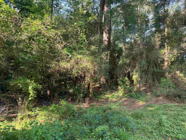 17286 La Hwy 933, Prairieville, LA 70769