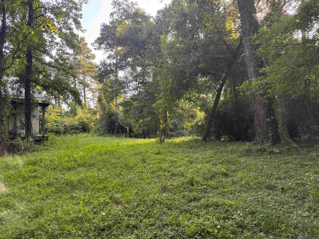 17286 La Hwy 933, Prairieville, LA 70769