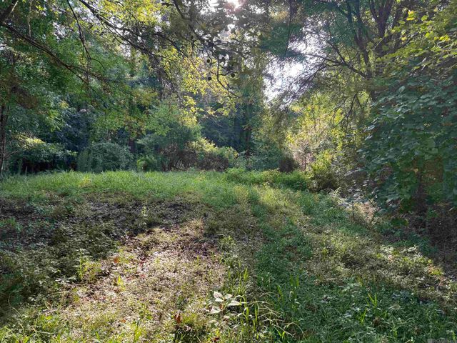17286 La Hwy 933, Prairieville, LA 70769