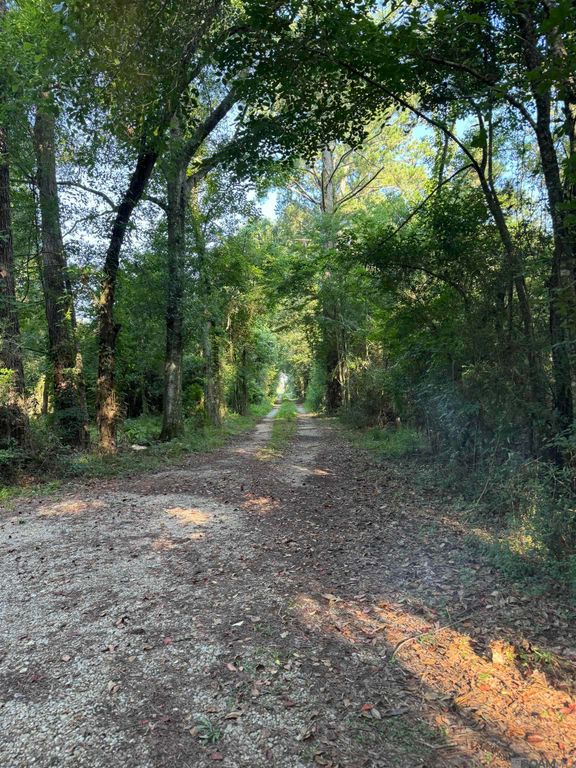 17286 La Hwy 933, Prairieville, LA 70769