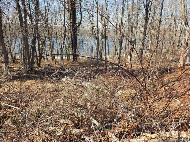 6 Willow Road, Carmel, NY 10512