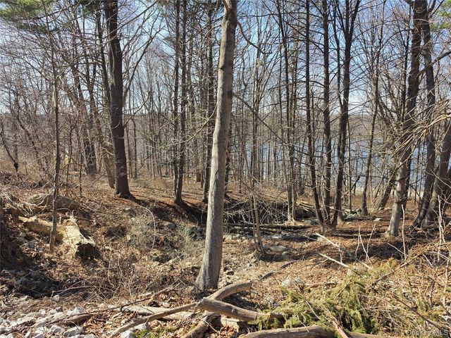 6 Willow Road, Carmel, NY 10512