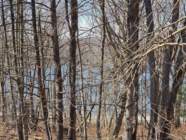 6 Willow Road, Carmel, NY 10512