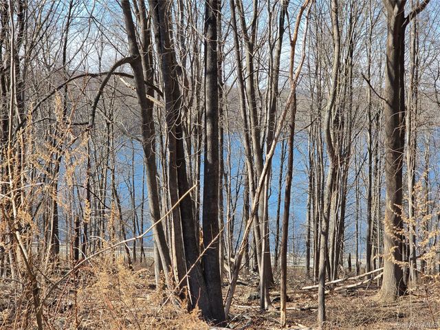 6 Willow Road, Carmel, NY 10512