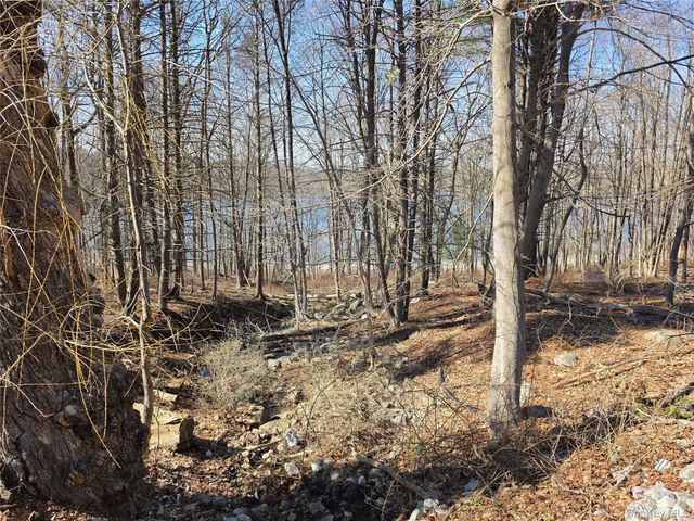 6 Willow Road, Carmel, NY 10512