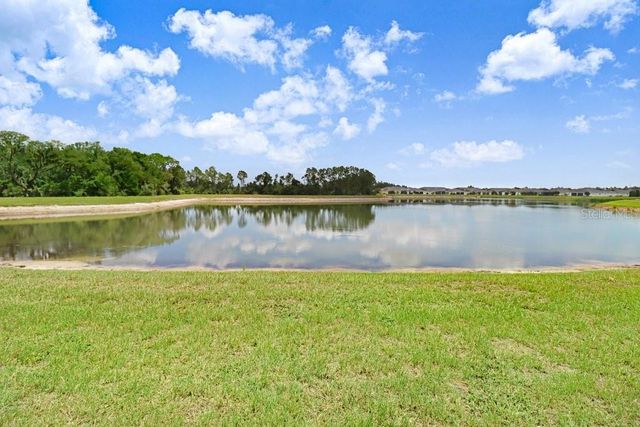 11520 BLUE WOODS DRIVE, Riverview, FL 33569