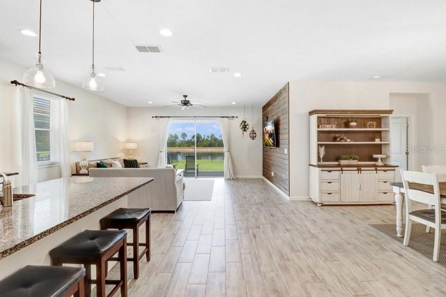 11520 BLUE WOODS DRIVE, Riverview, FL 33569