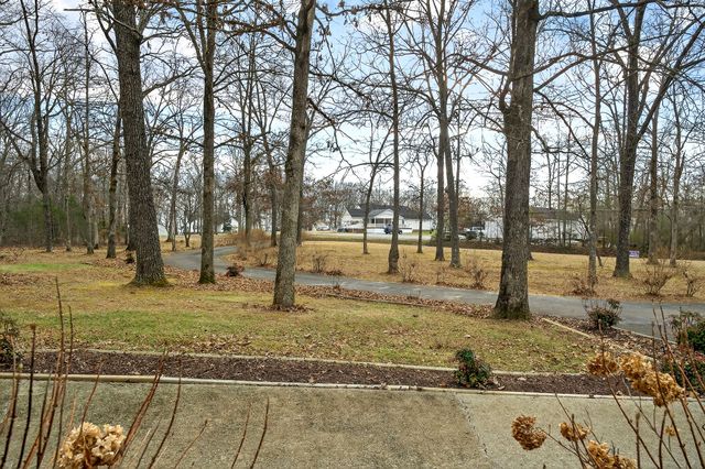 313 Big Rock Rd, Smithville, TN 37166