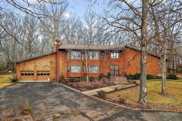 313 Big Rock Rd, Smithville, TN 37166