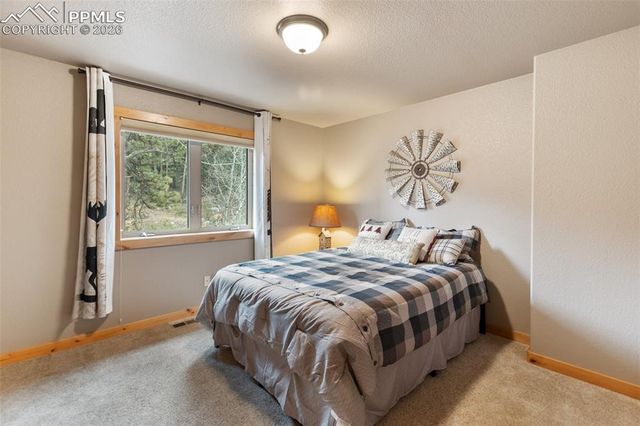 133 Elk Grove Lane, Woodland Park, CO 80863