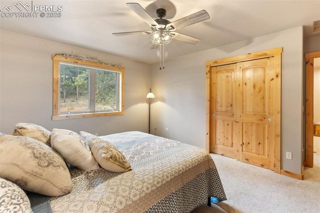 133 Elk Grove Lane, Woodland Park, CO 80863