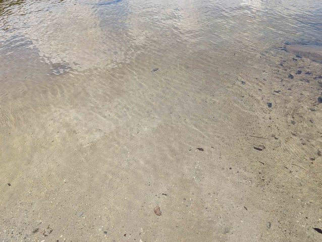 63 Bradley Road, Averill, VT 05901