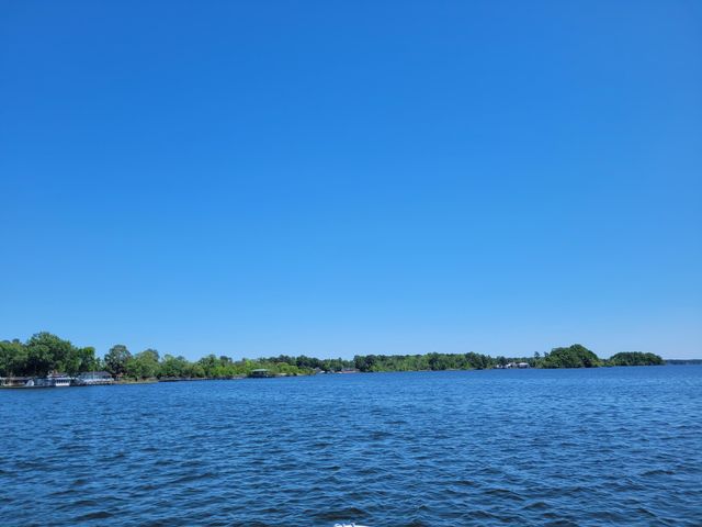 1345 Holland Road, Summerton, SC 29148