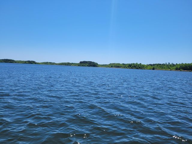 1345 Holland Road, Summerton, SC 29148