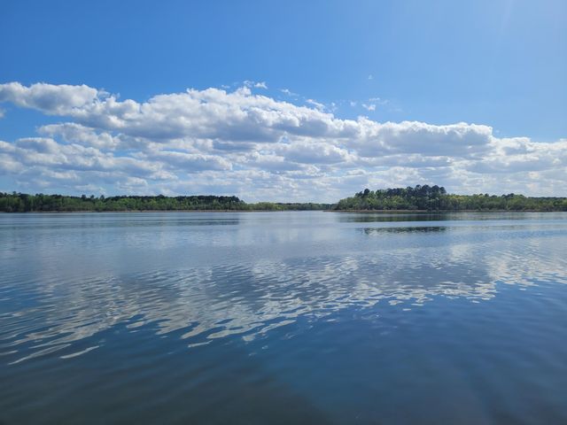 1345 Holland Road, Summerton, SC 29148