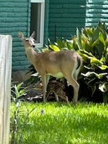 1106 S Paisano Dr, Rockport, TX 78382