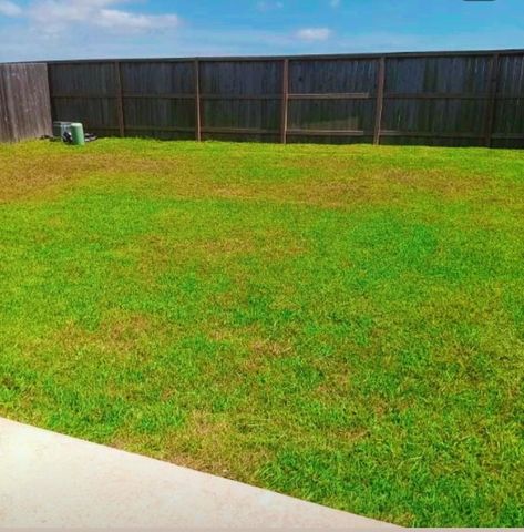 21275 Catalina Palm Drive, Cypress, TX 77433
