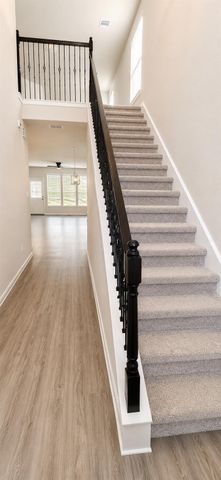 21275 Catalina Palm Drive, Cypress, TX 77433
