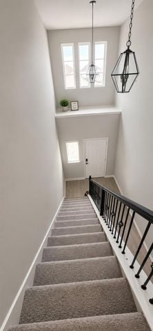 21275 Catalina Palm Drive, Cypress, TX 77433