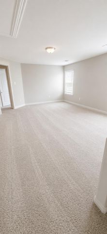 21275 Catalina Palm Drive, Cypress, TX 77433