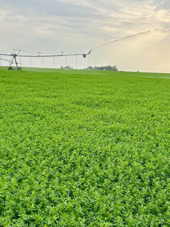 NHN 1st Road S, Fort Shaw, MT 59443 photo 2