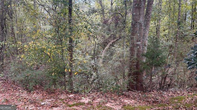 2100 Indian Shoals Drive, Loganville, GA 30052