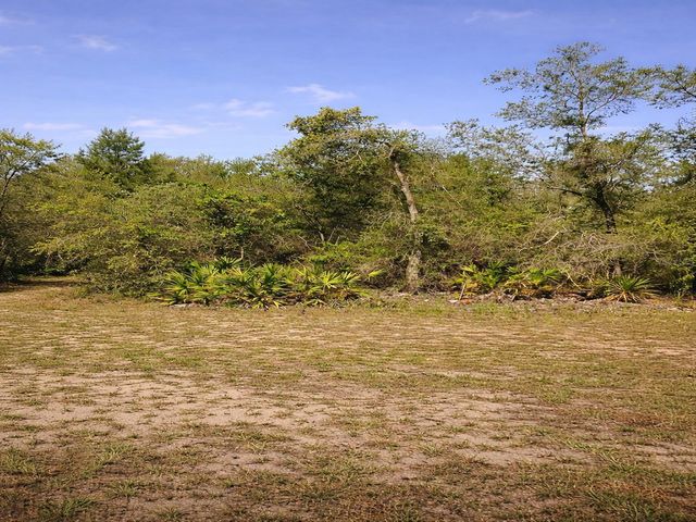 SHETLAND DRIVE, Lake Wales, FL 33898