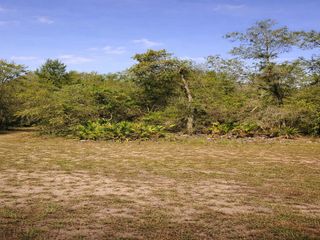 SHETLAND DRIVE, Lake Wales, FL 33898